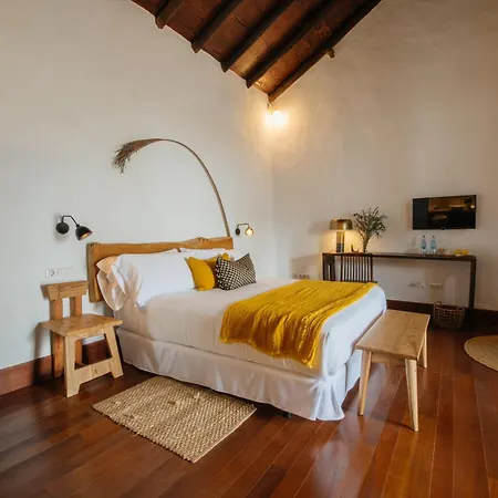 Boutique Palacio Ico Hotel