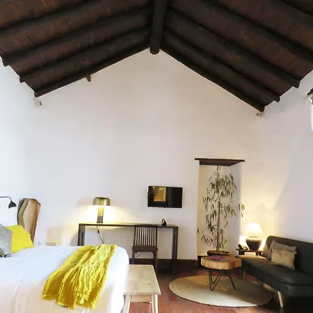 Hotel Boutique Gastronomico Palacio Ico (adults Only)